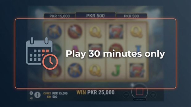 Payment and PKR controls in ekplus8 - 6